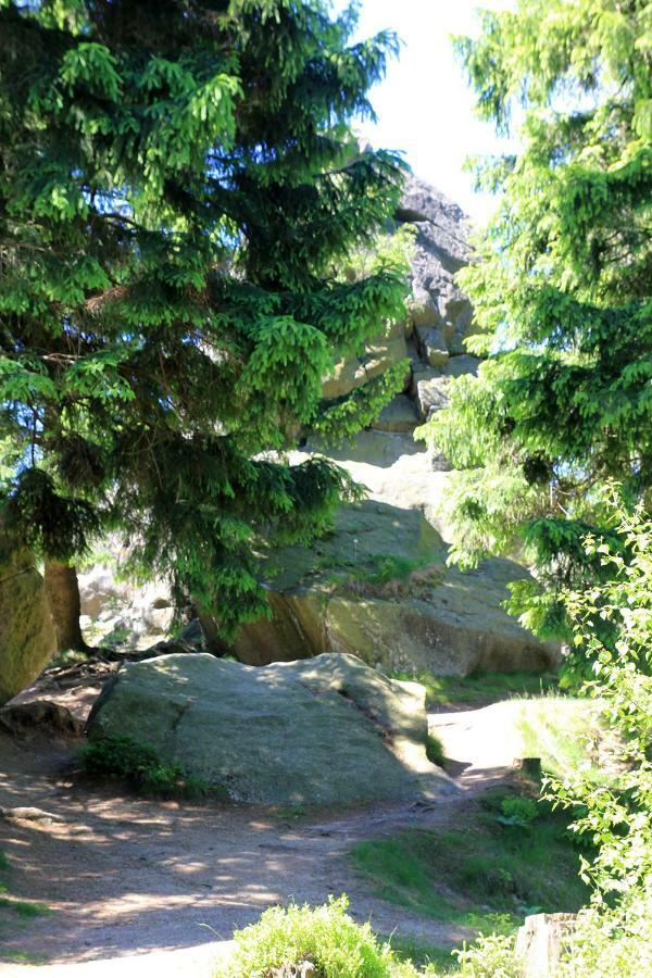 An Der Bremke Apartment Herzberg am Harz Luaran gambar